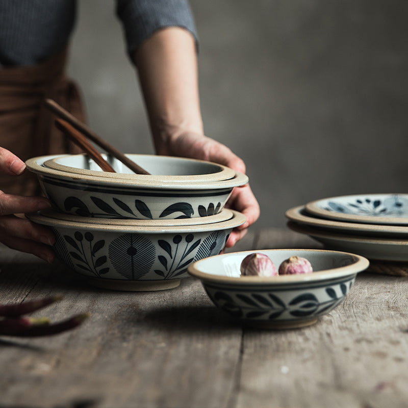 Japanese Dishes And Tableware Set